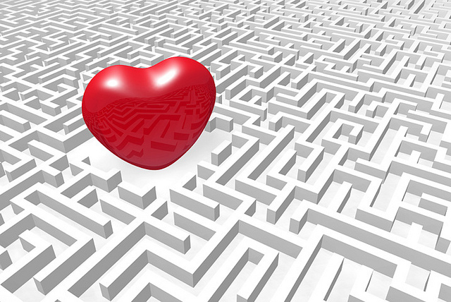 Discover Your Passion and Purpose in Life