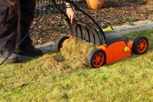 Expert Tips For Selecting The Best Lawn Care Services In Your Area