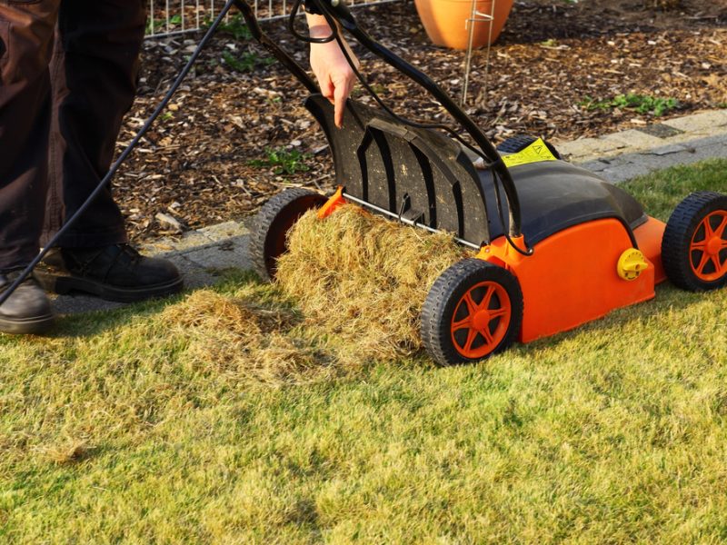 Expert Tips For Selecting The Best Lawn Care Services In Your Area